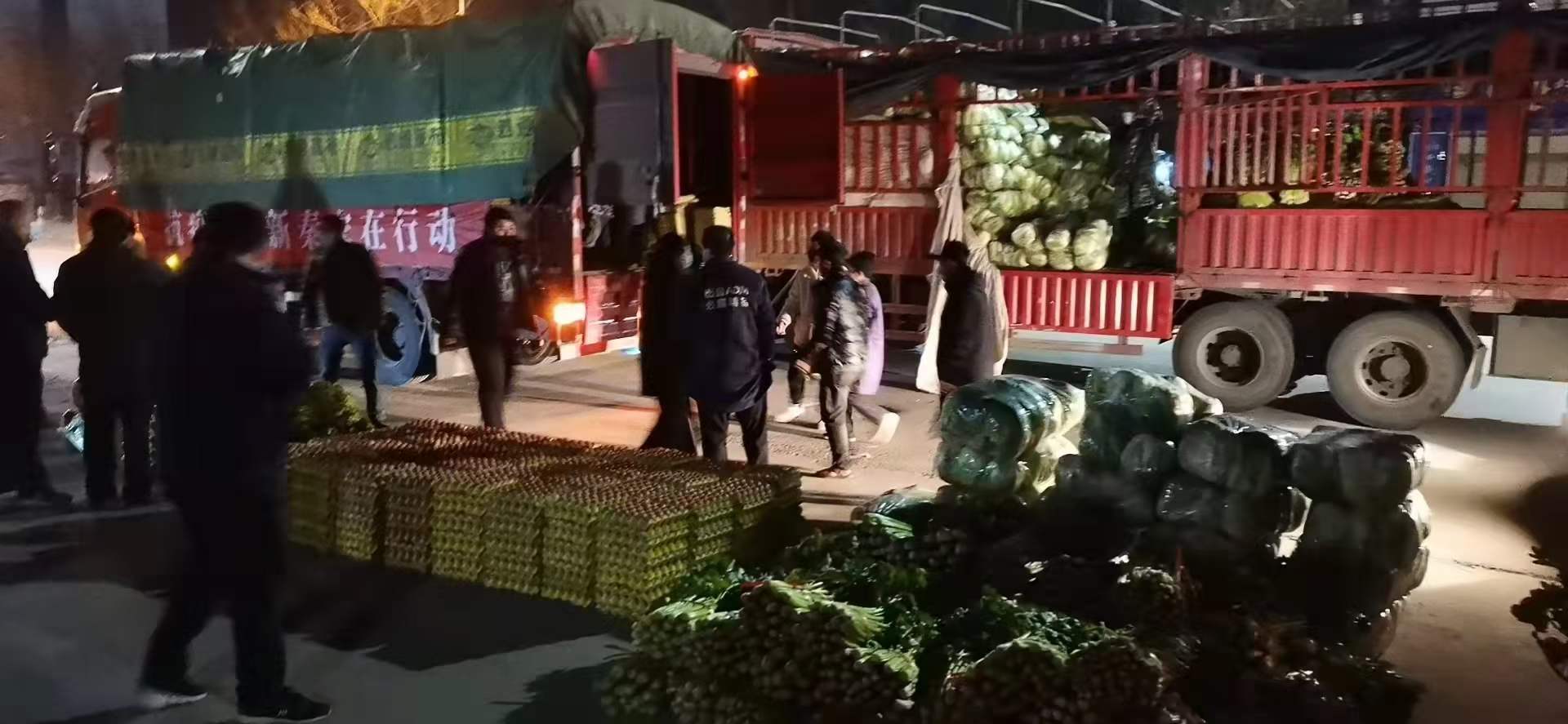 感謝黨和政府對我公司送來新鮮蔬菜，愿，國無恙，山河永固，加油，西安！